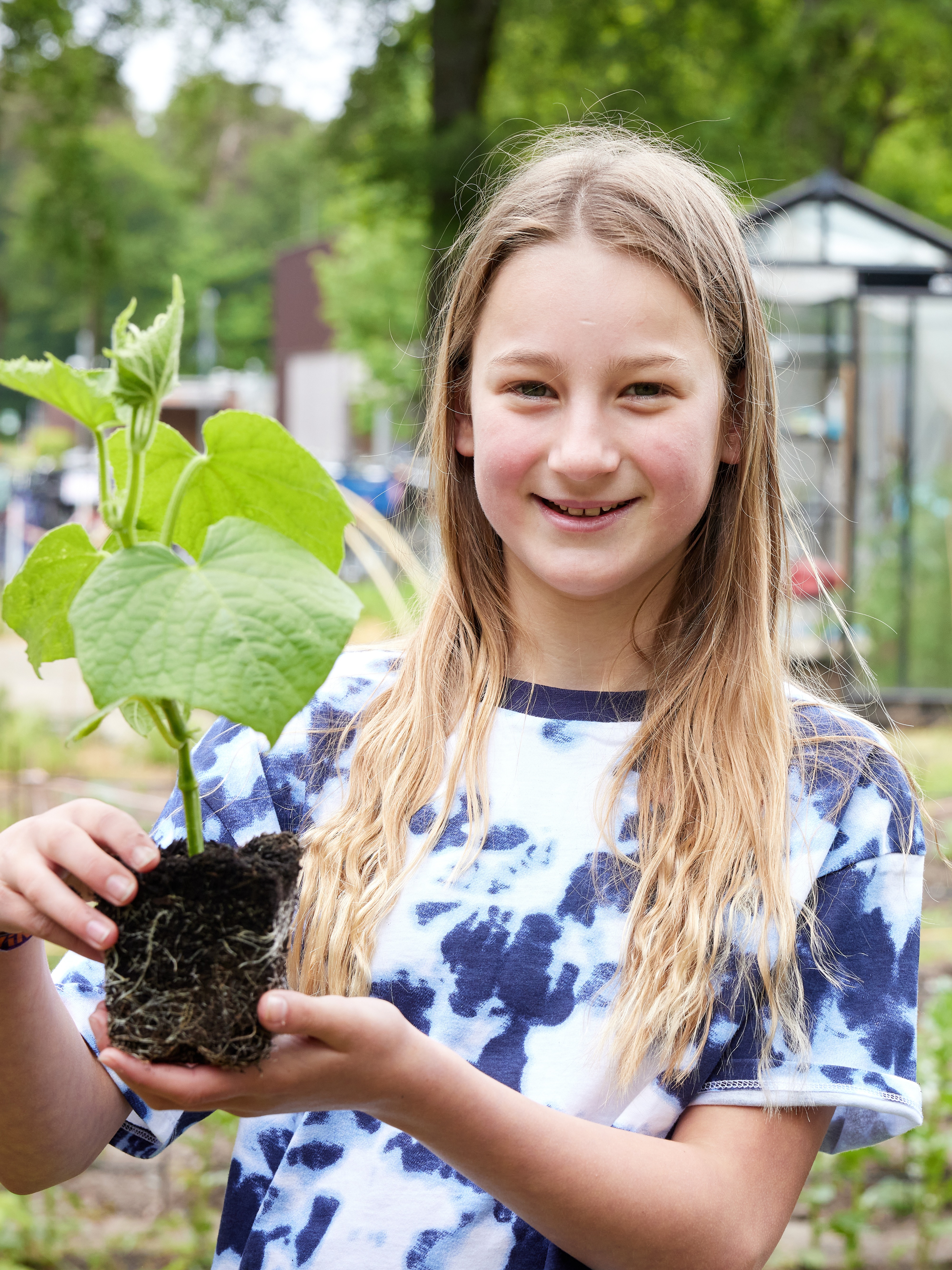 Mijn Gezonde Kinderopvang - Procestool backend